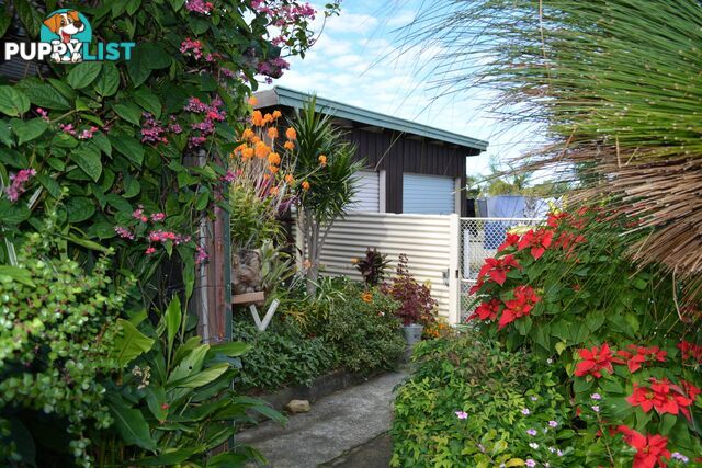 8 Diamond Head Drive SANDY BEACH NSW 2456