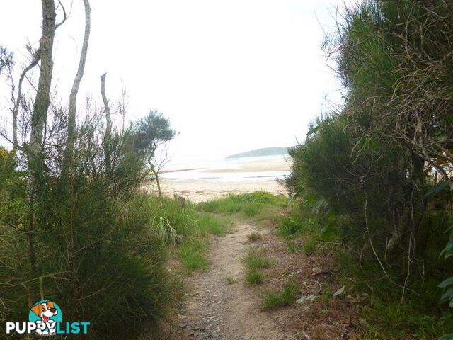 7 Killawarra Close SAFETY BEACH NSW 2456