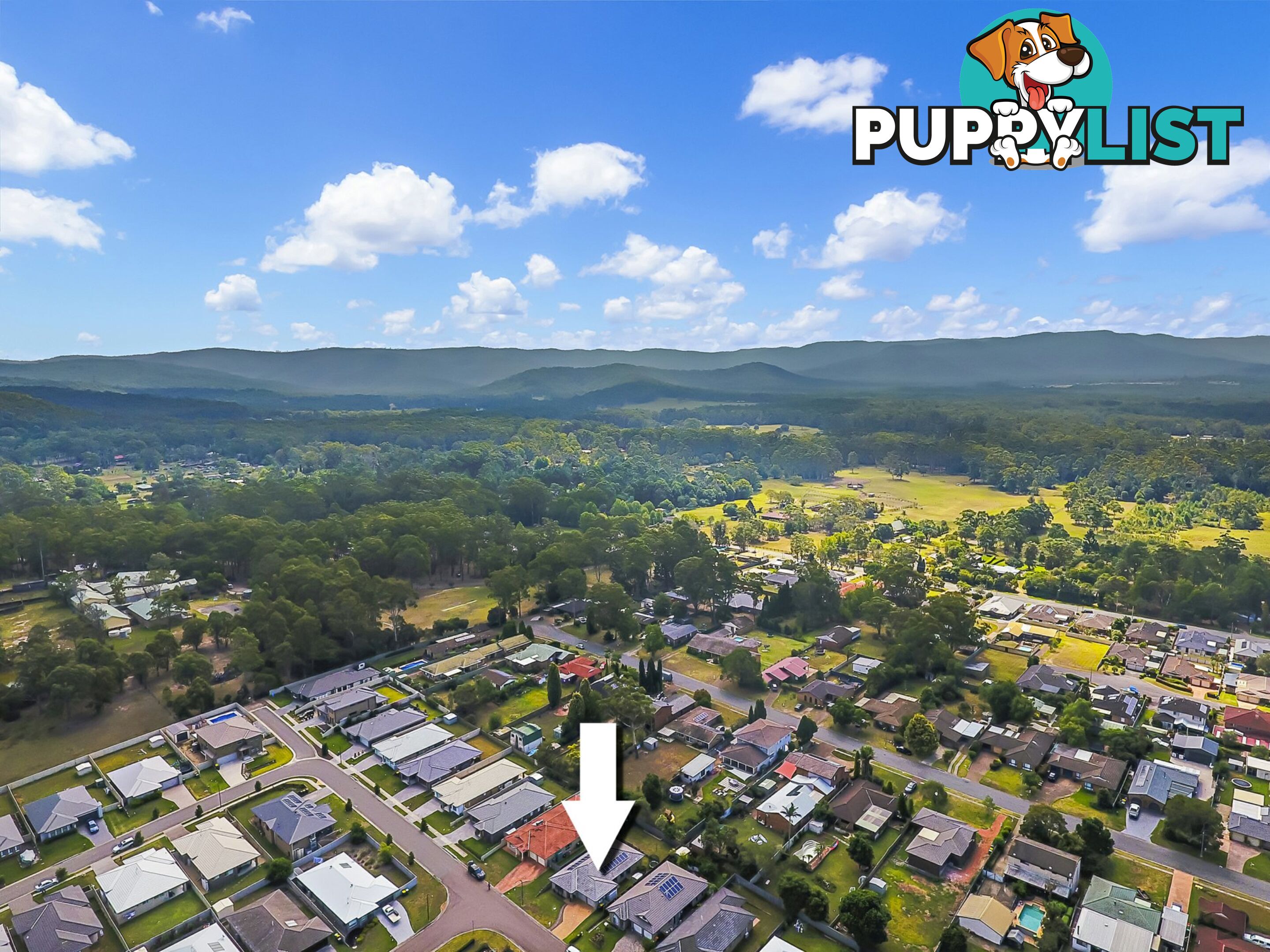 61 Cedar Cutters Crescent COORANBONG NSW 2265