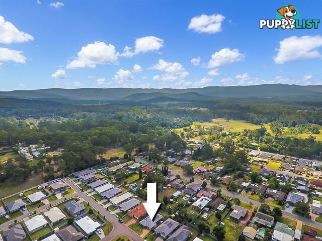 61 Cedar Cutters Crescent COORANBONG NSW 2265