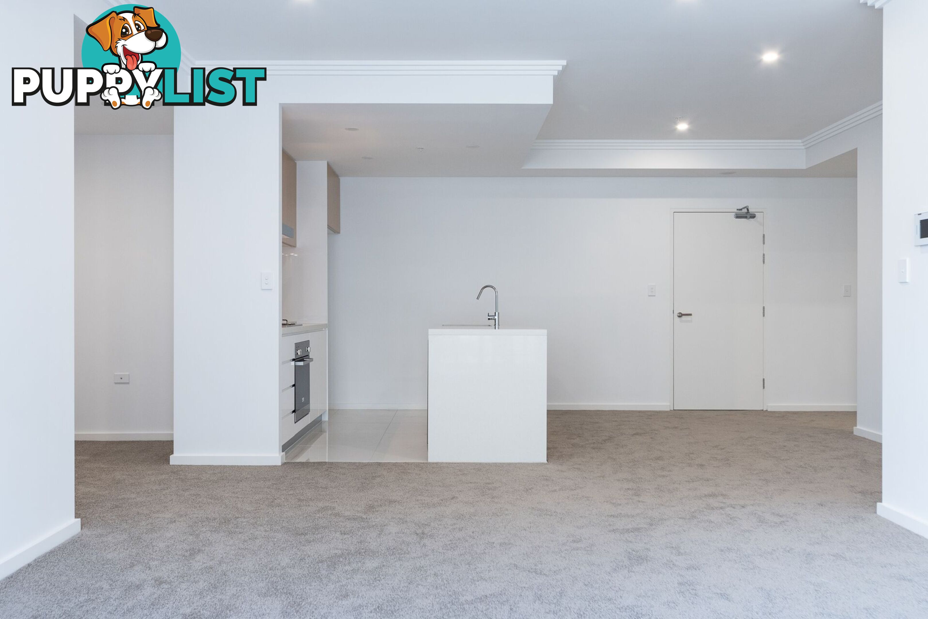 2 Lachlan Street LIVERPOOL NSW 2170