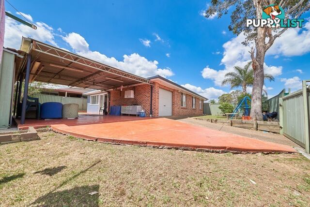 24 Blackwood st MINTO NSW 2566