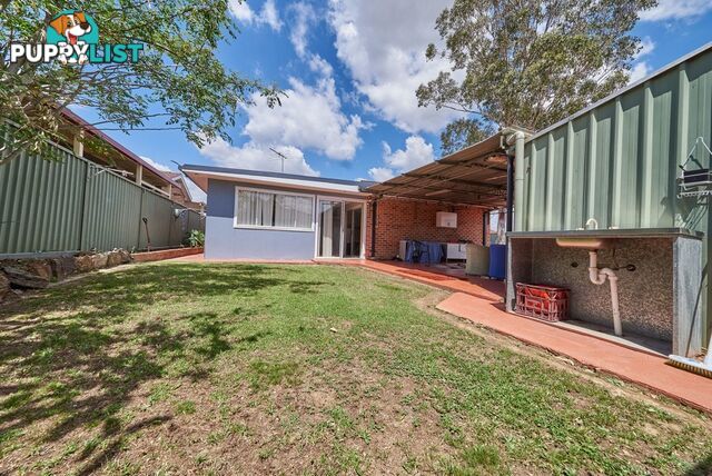 24 Blackwood st MINTO NSW 2566