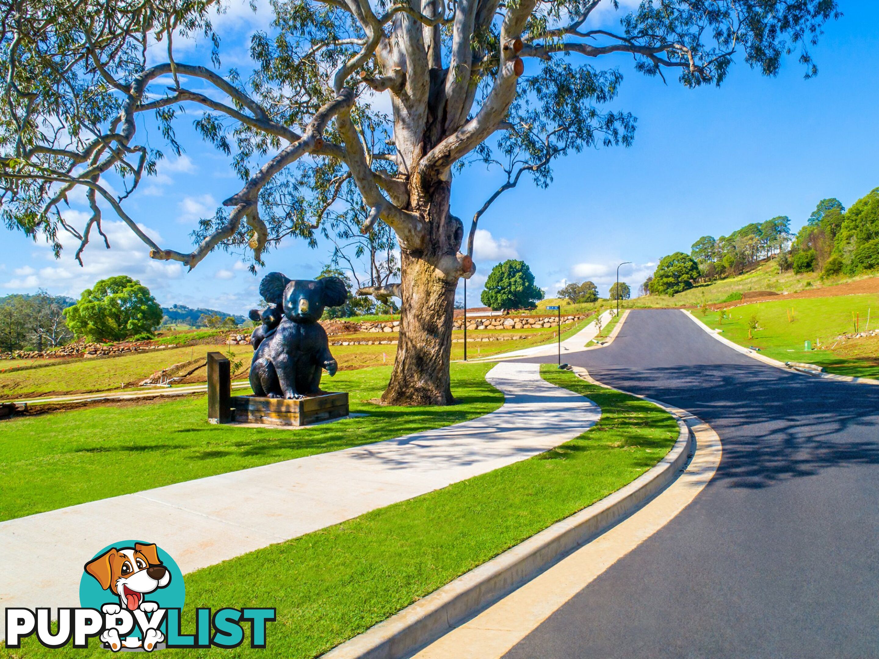 Lot 610 Eastwood Estate GOONELLABAH NSW 2480