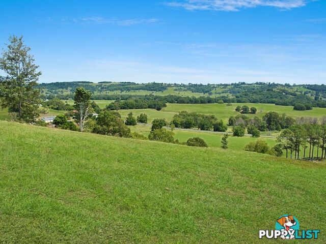 Lot 2, 22 Valley View Drive HOWARDS GRASS NSW 2480