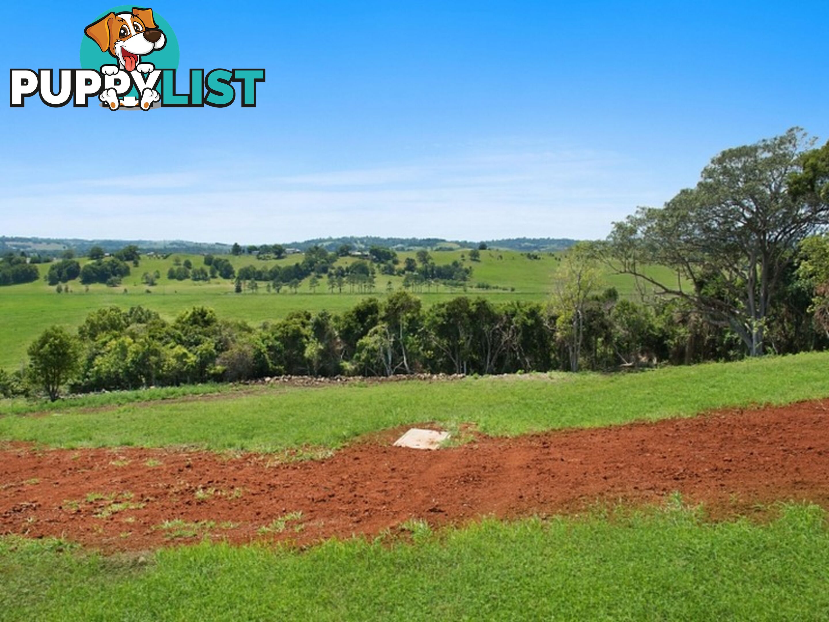 Lot 2, 22 Valley View Drive HOWARDS GRASS NSW 2480