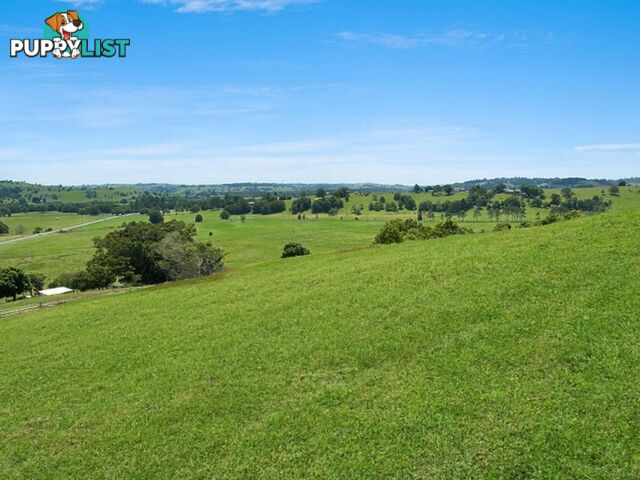 Lot 2, 22 Valley View Drive HOWARDS GRASS NSW 2480