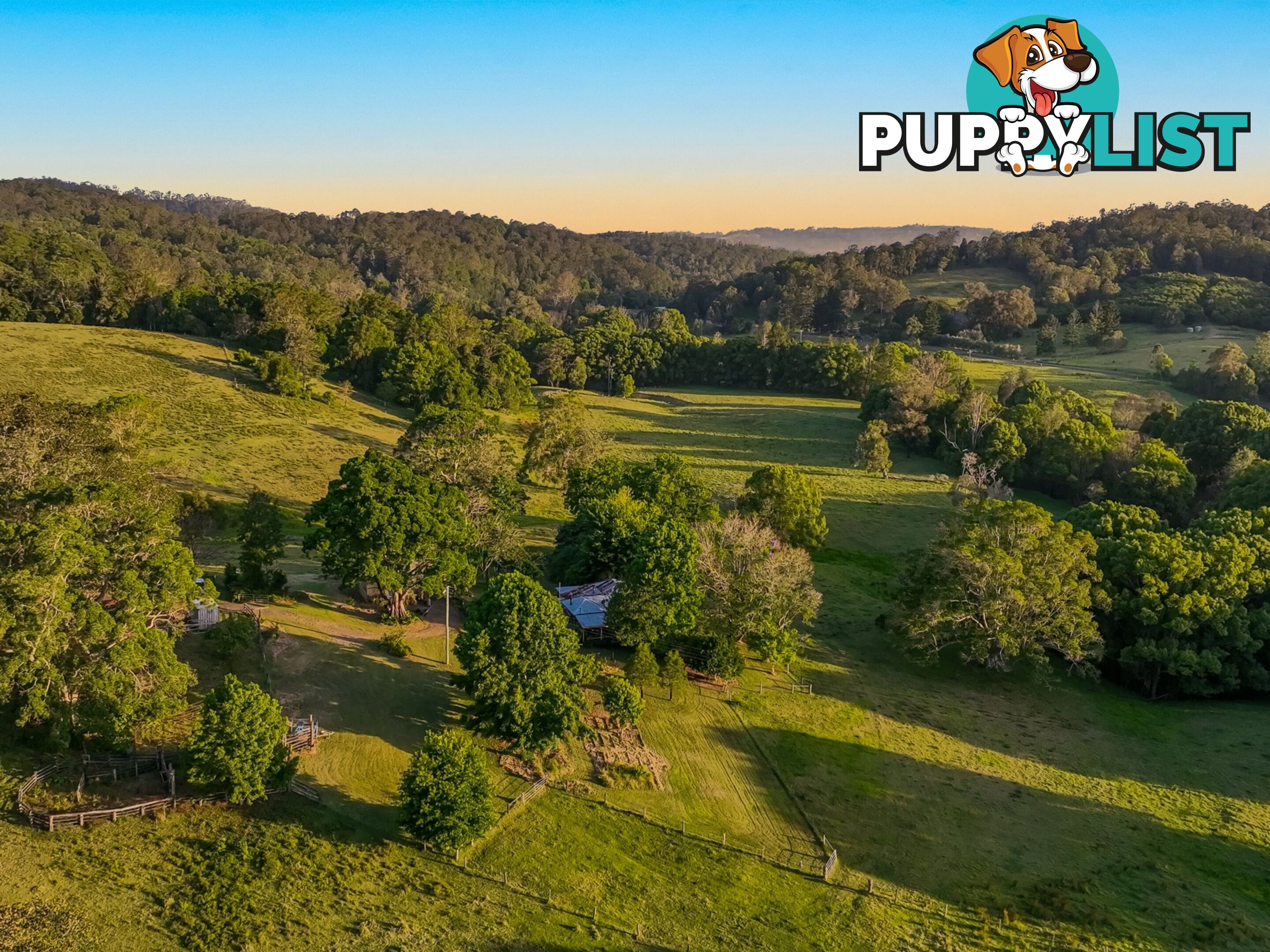 371 Quilty Road ROCK VALLEY NSW 2480