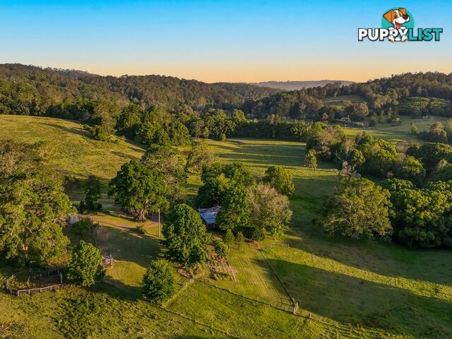 371 Quilty Road ROCK VALLEY NSW 2480