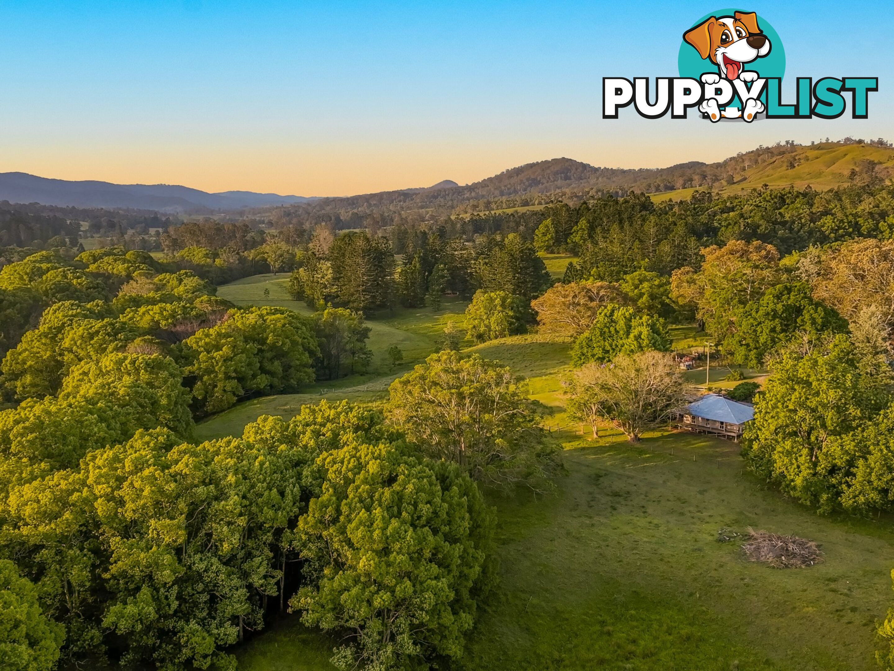 371 Quilty Road ROCK VALLEY NSW 2480