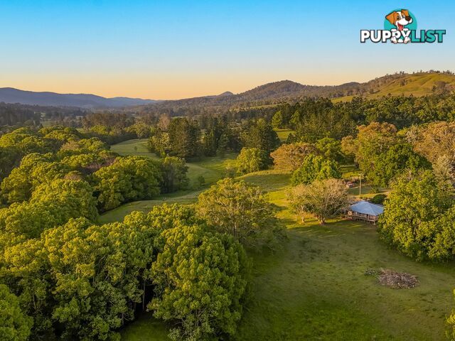 371 Quilty Road ROCK VALLEY NSW 2480