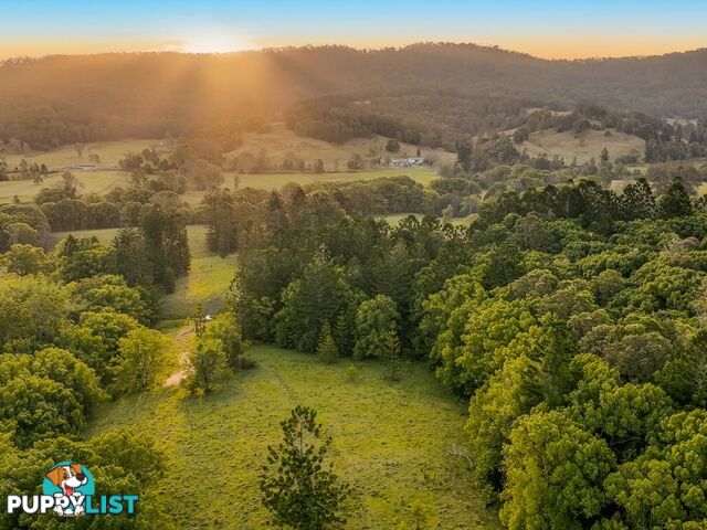 371 Quilty Road ROCK VALLEY NSW 2480