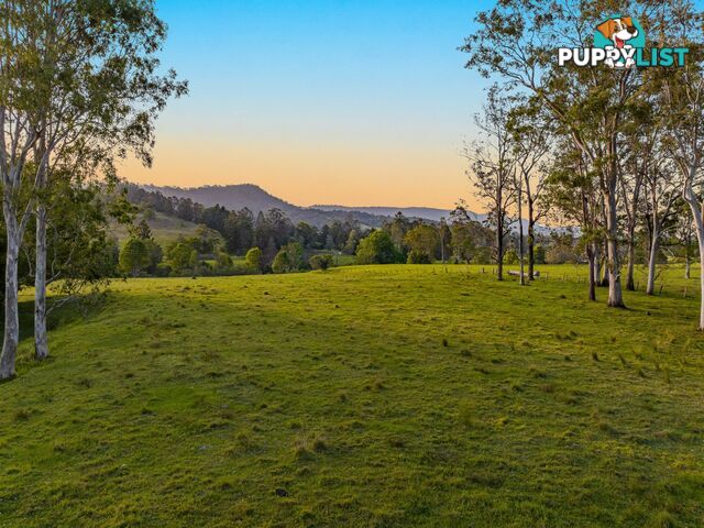 371 Quilty Road ROCK VALLEY NSW 2480