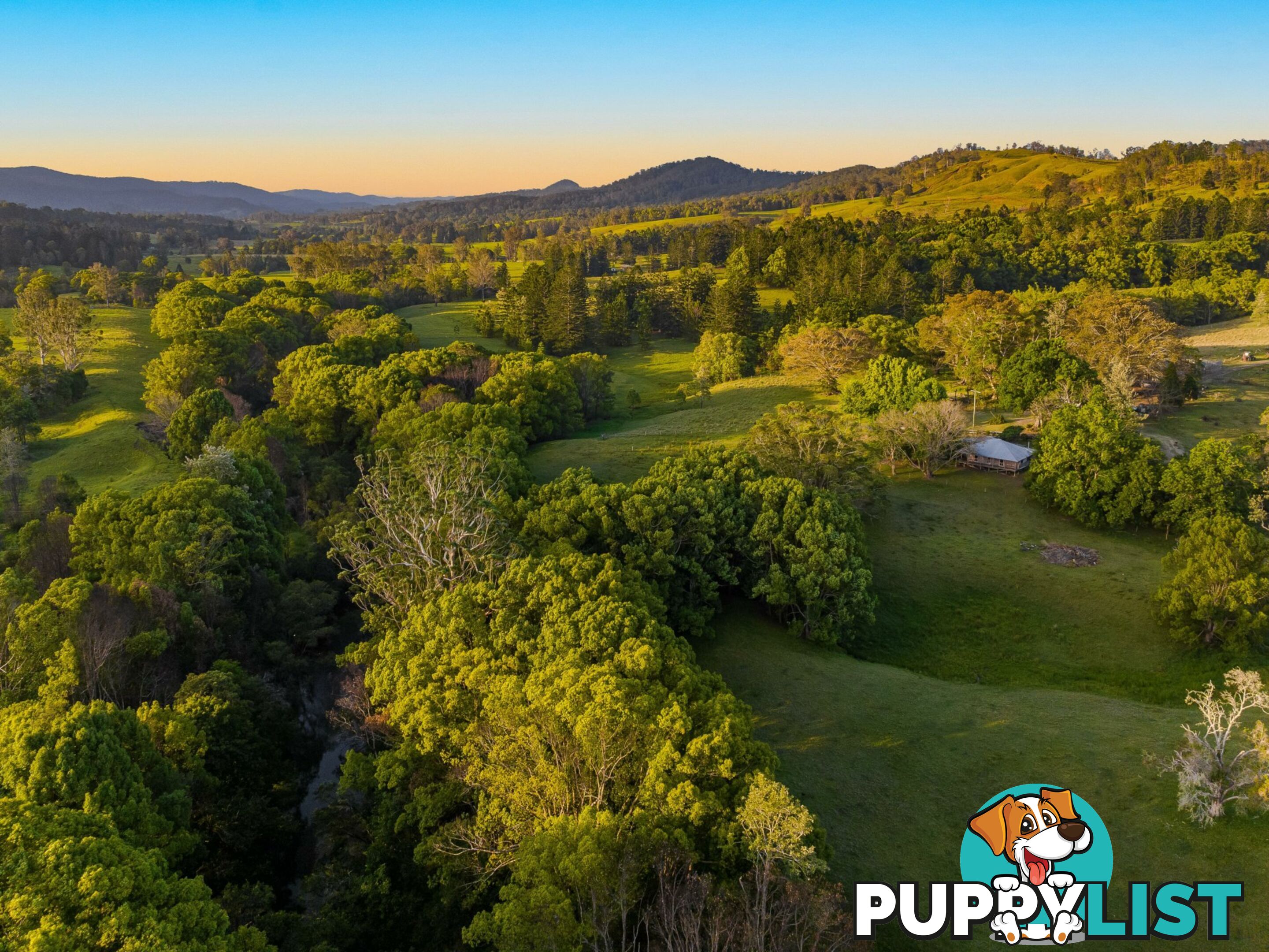 371 Quilty Road ROCK VALLEY NSW 2480