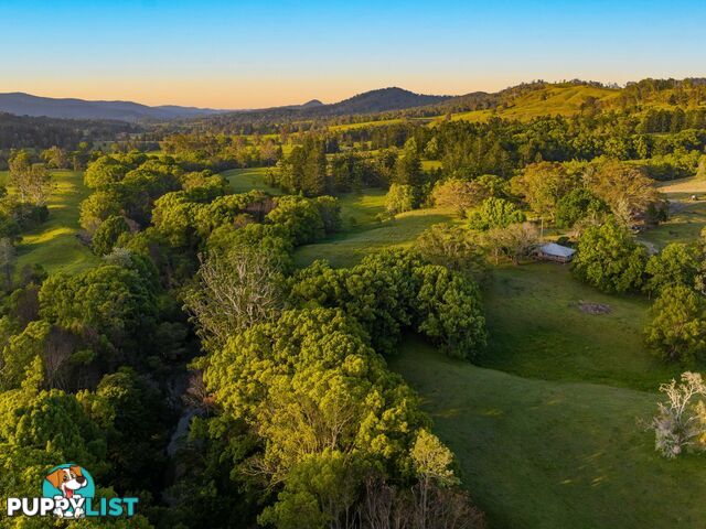 371 Quilty Road ROCK VALLEY NSW 2480