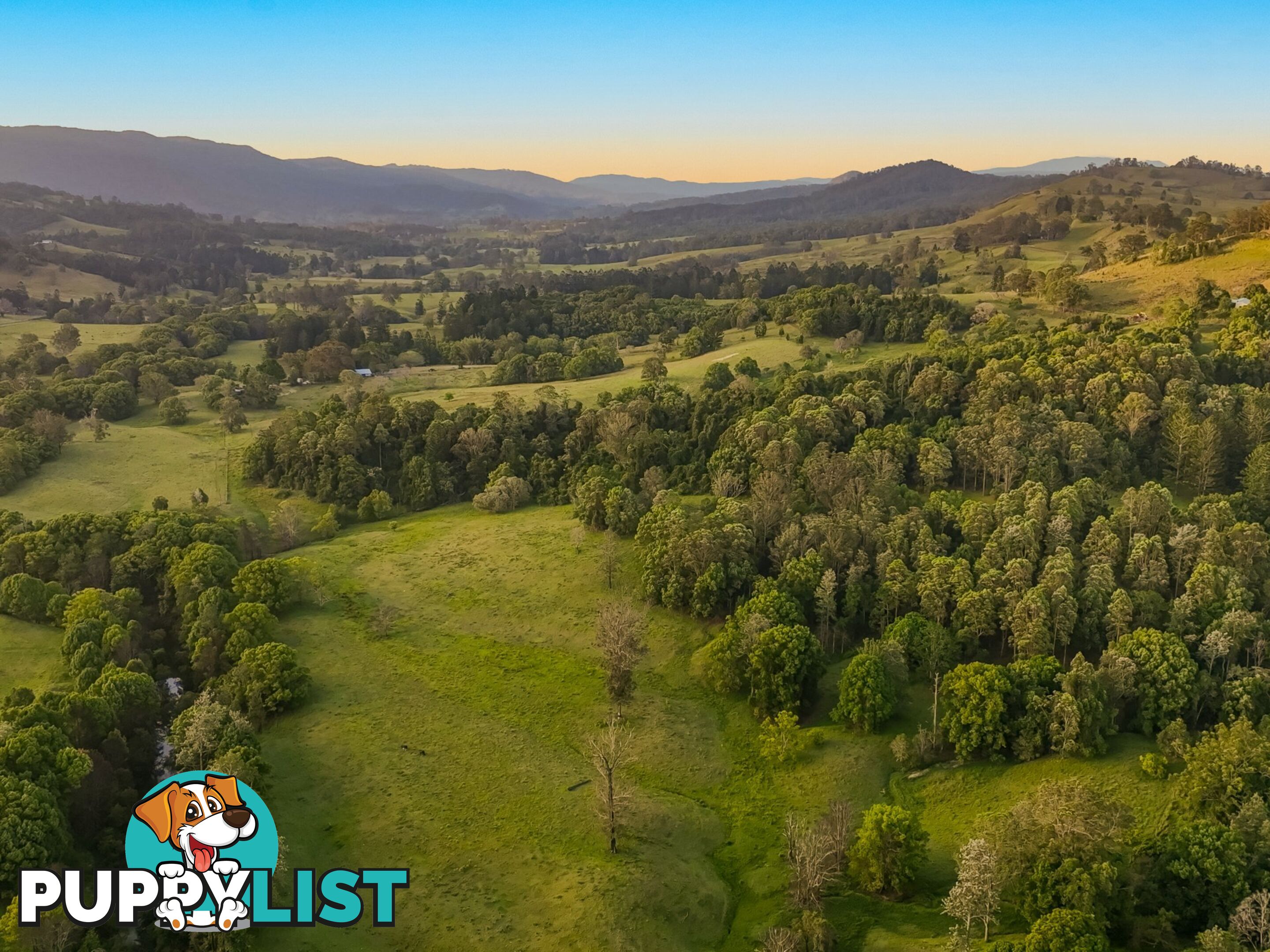 371 Quilty Road ROCK VALLEY NSW 2480