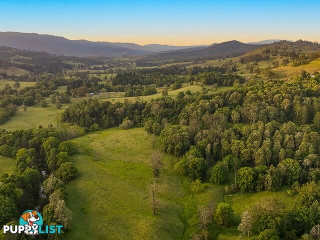 371 Quilty Road ROCK VALLEY NSW 2480