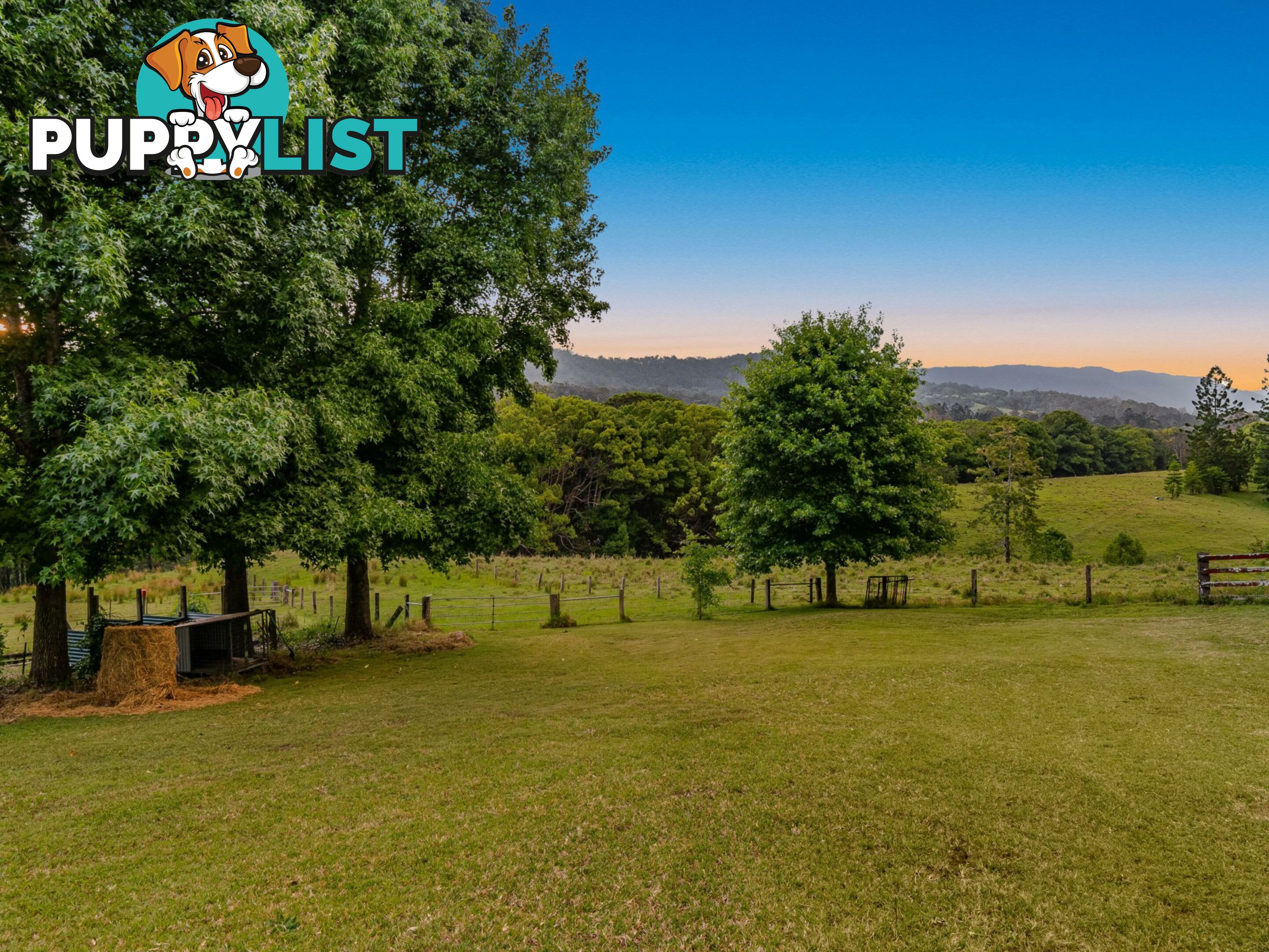 371 Quilty Road ROCK VALLEY NSW 2480