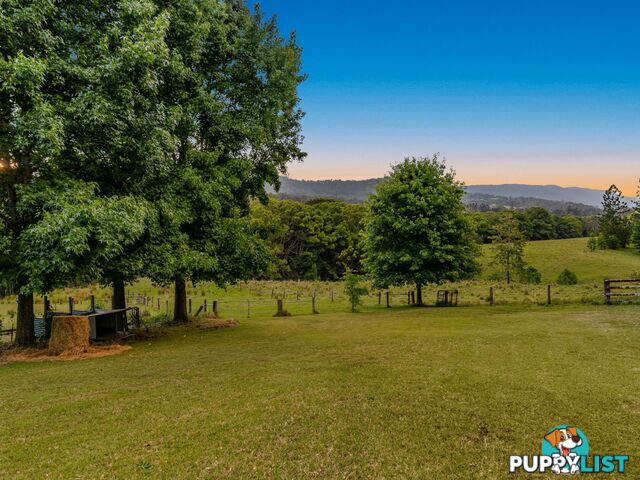 371 Quilty Road ROCK VALLEY NSW 2480