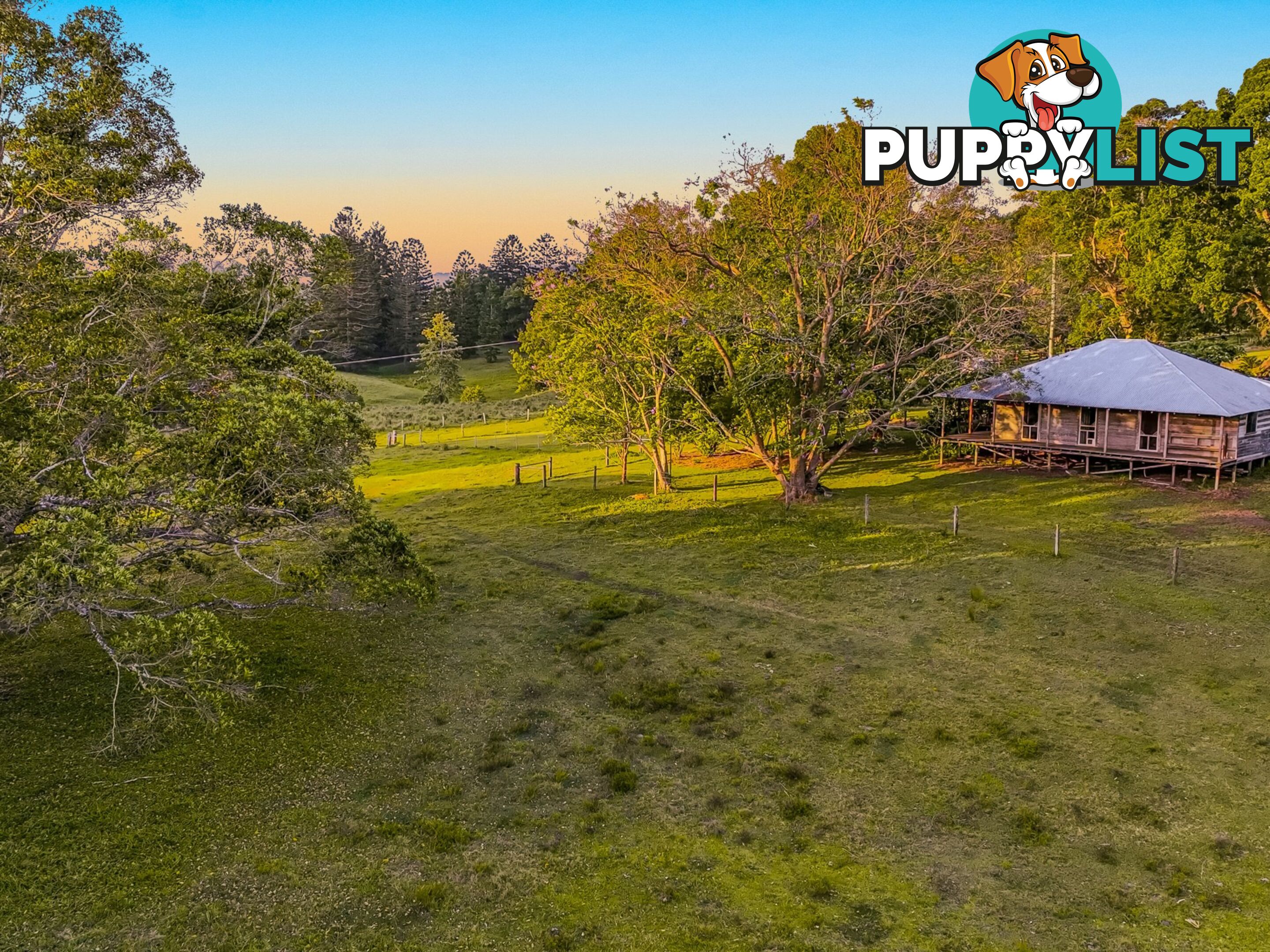 371 Quilty Road ROCK VALLEY NSW 2480