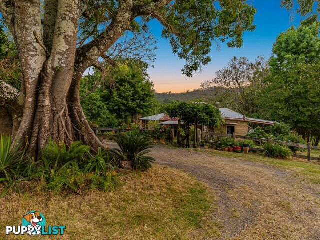 371 Quilty Road ROCK VALLEY NSW 2480