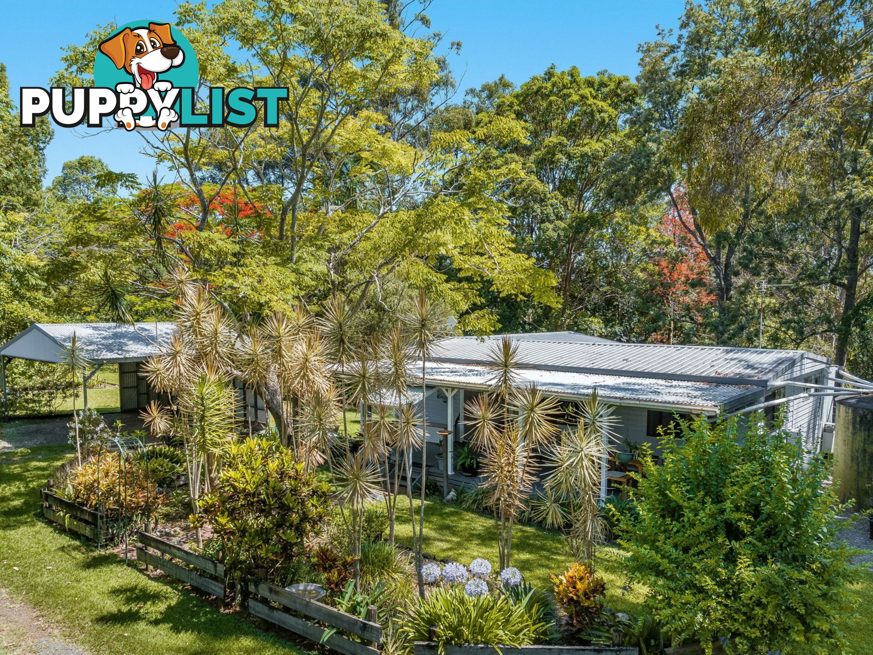 113 Dorroughby Road CORNDALE NSW 2480