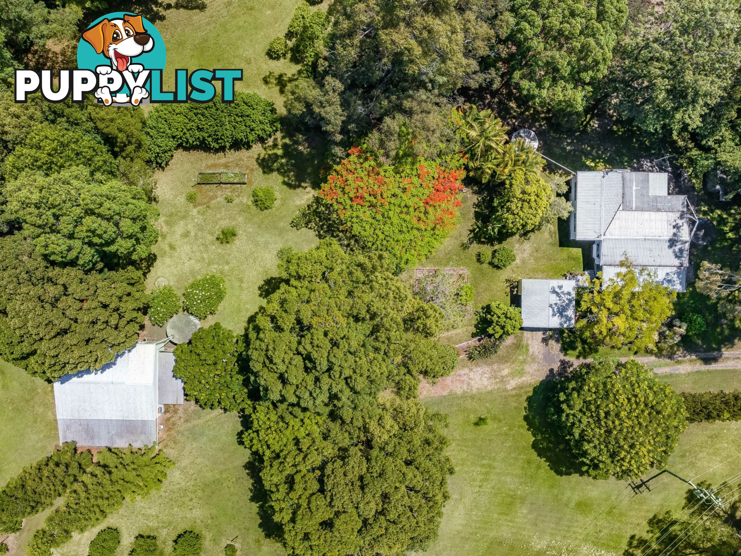 113 Dorroughby Road CORNDALE NSW 2480