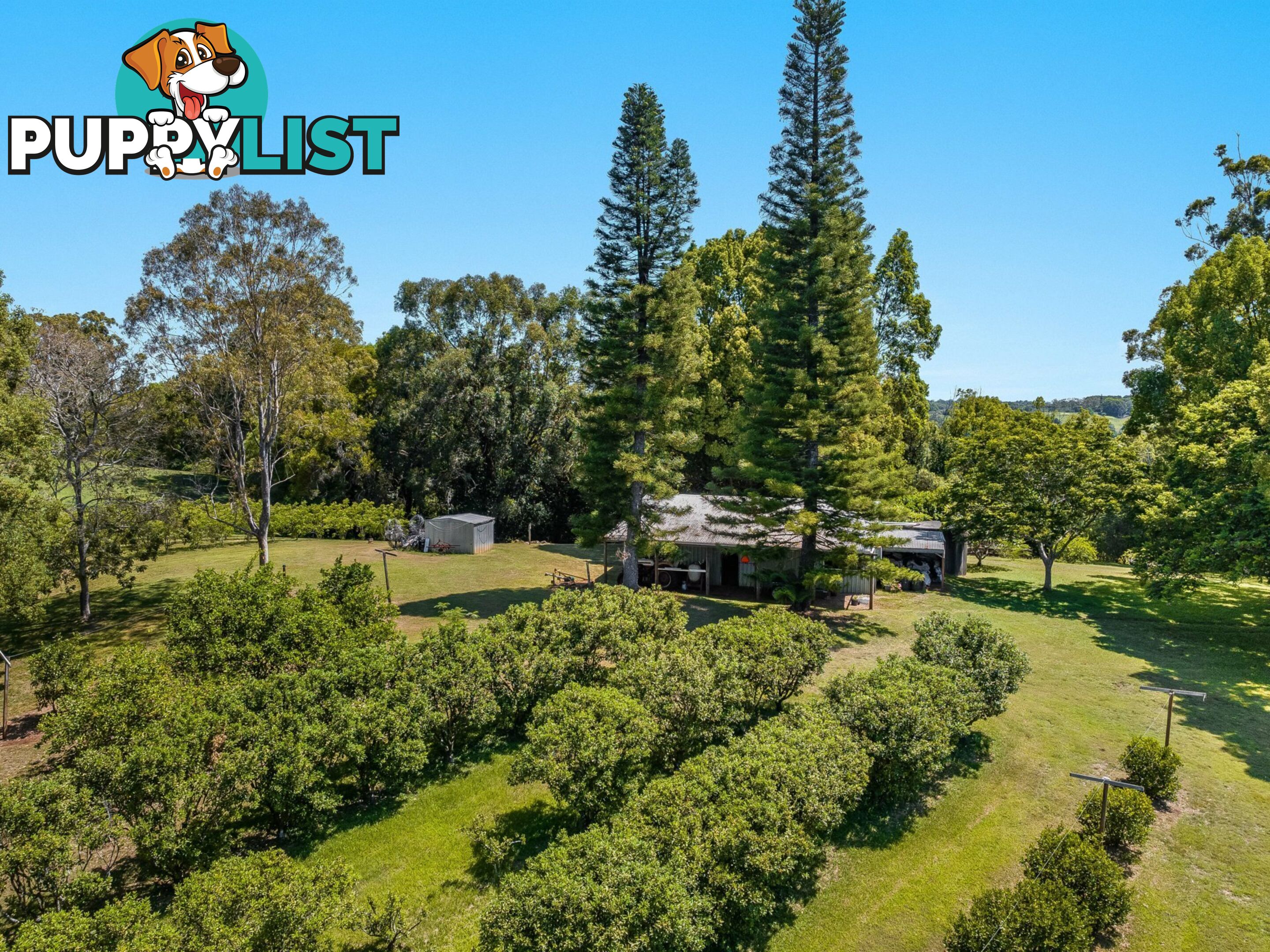 113 Dorroughby Road CORNDALE NSW 2480