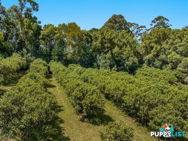 113 Dorroughby Road CORNDALE NSW 2480