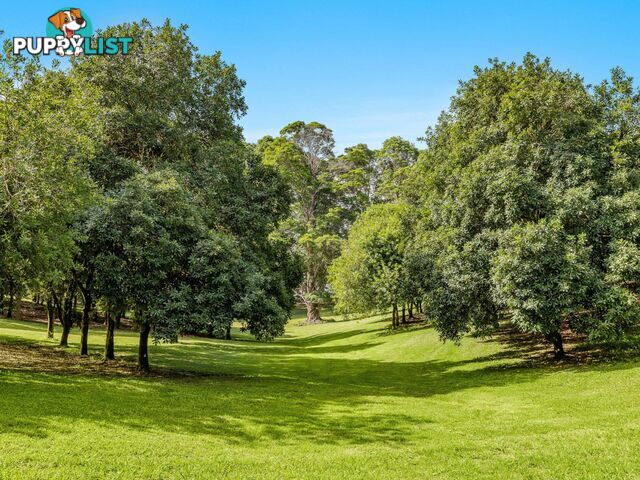 206 Repentance Creek Road ROSEBANK NSW 2480