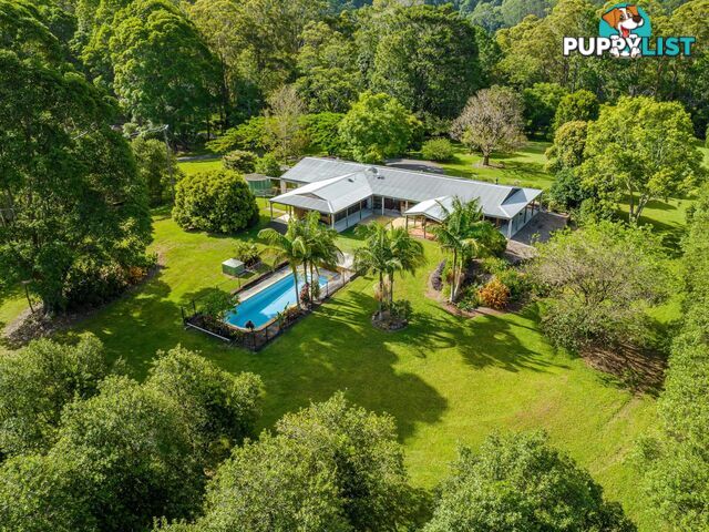 206 Repentance Creek Road ROSEBANK NSW 2480