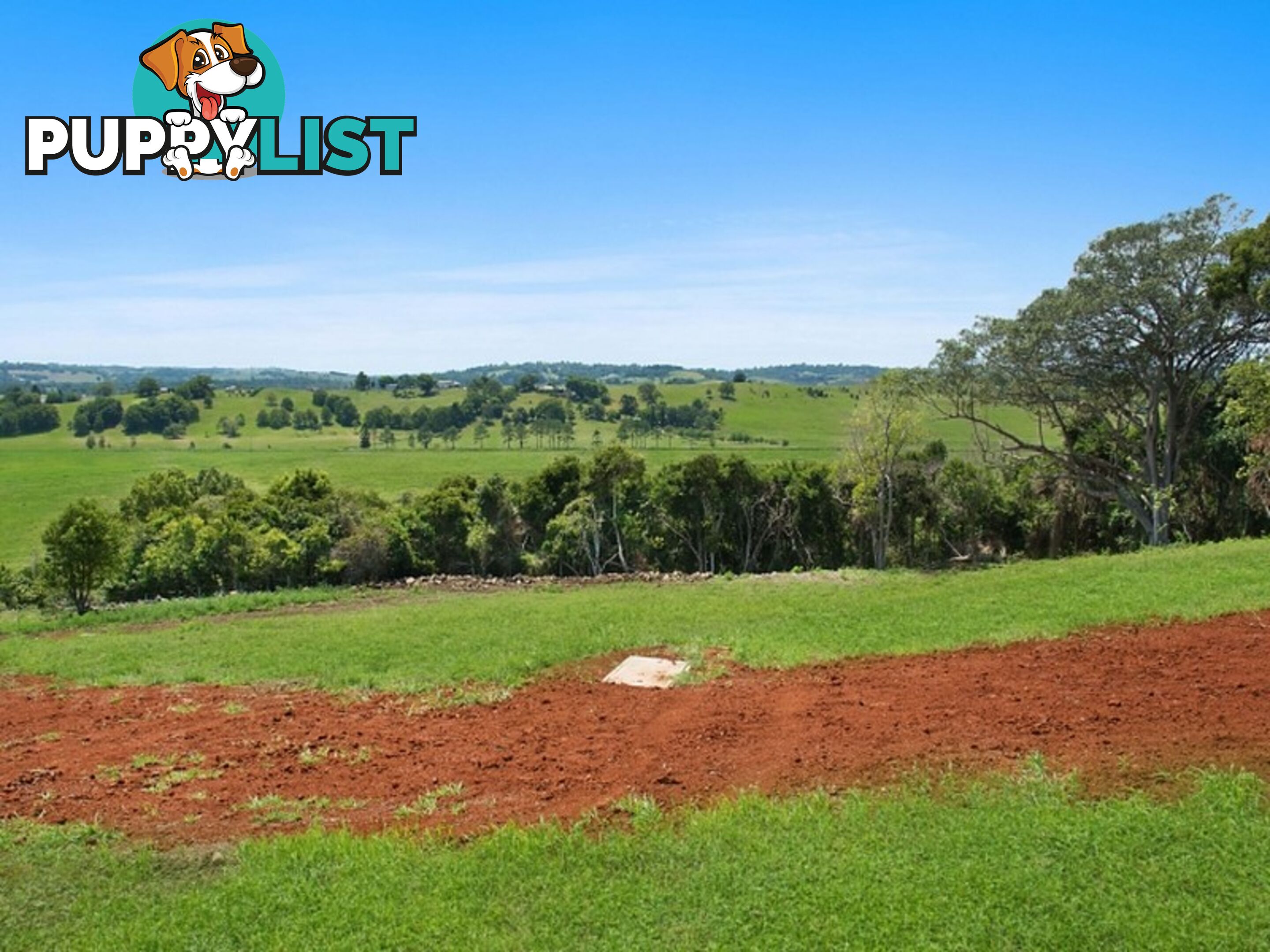 Lot 1, 22 Valley View Drive HOWARDS GRASS NSW 2480