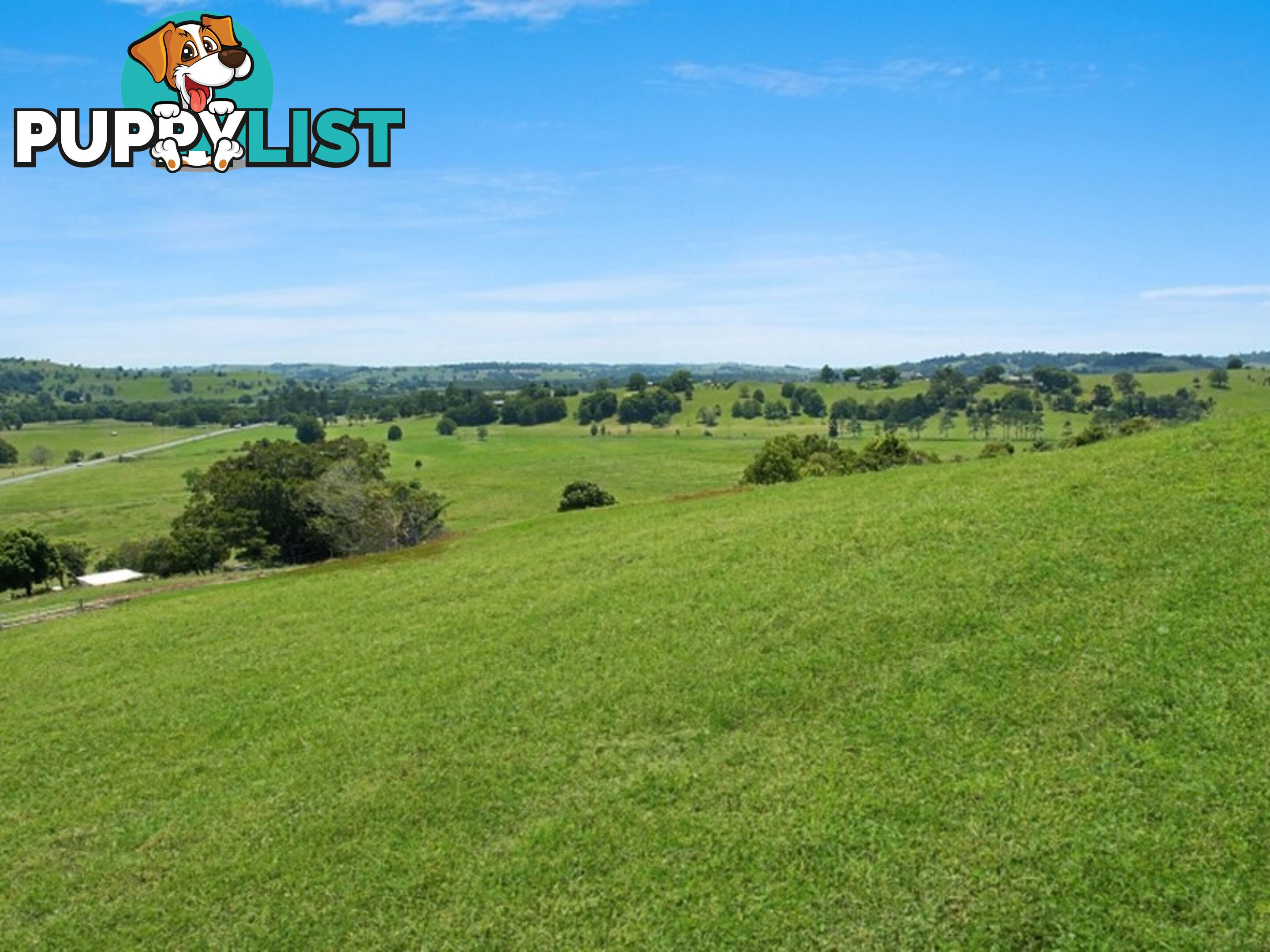 Lot 1, 22 Valley View Drive HOWARDS GRASS NSW 2480