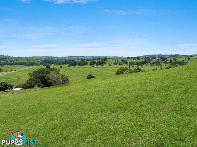 Lot 1, 22 Valley View Drive HOWARDS GRASS NSW 2480