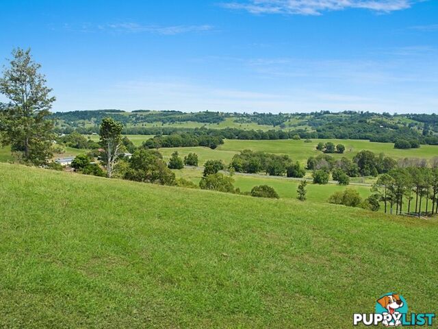 Lot 1, 22 Valley View Drive HOWARDS GRASS NSW 2480