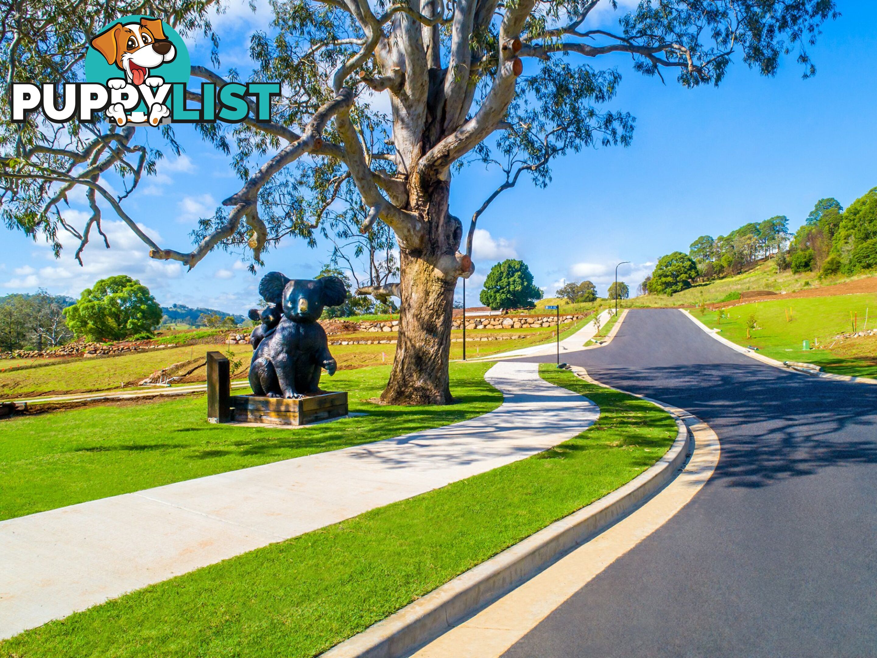 Lot 620 Eastwood Estate GOONELLABAH NSW 2480