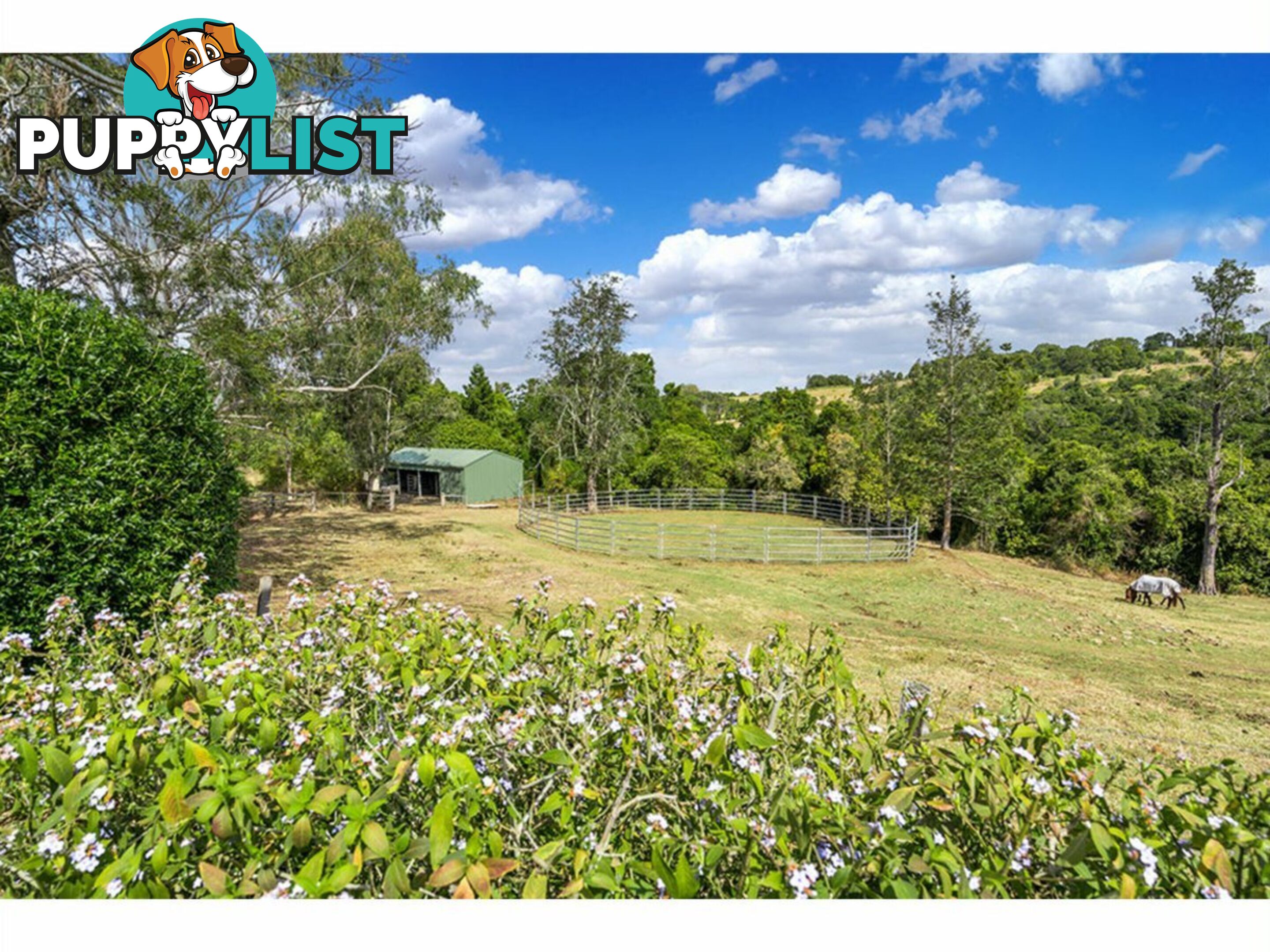 37 City View Drive EAST LISMORE NSW 2480