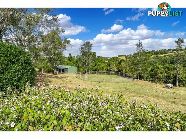 37 City View Drive EAST LISMORE NSW 2480