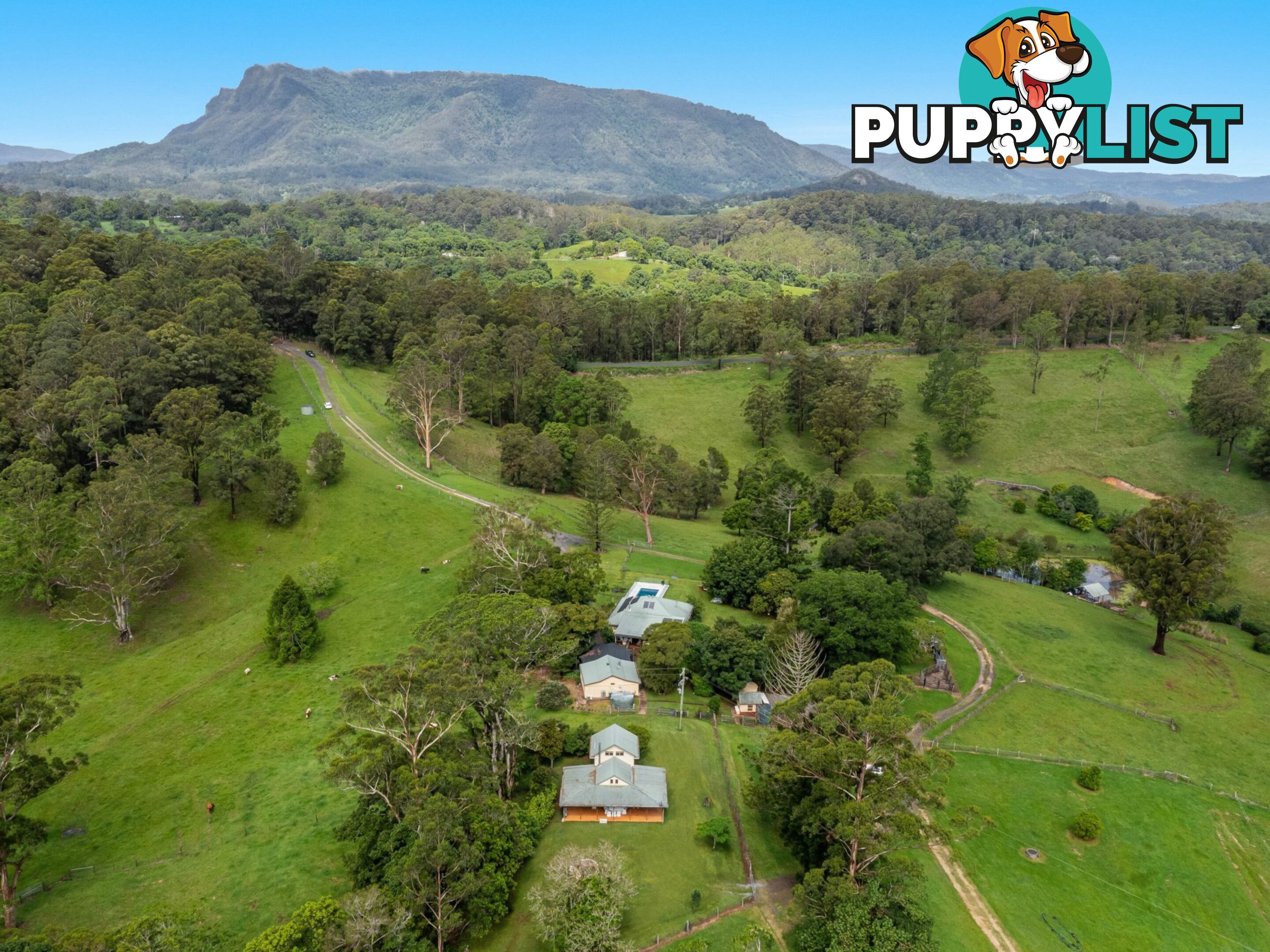 4358 Kyogle Road WADEVILLE NSW 2474