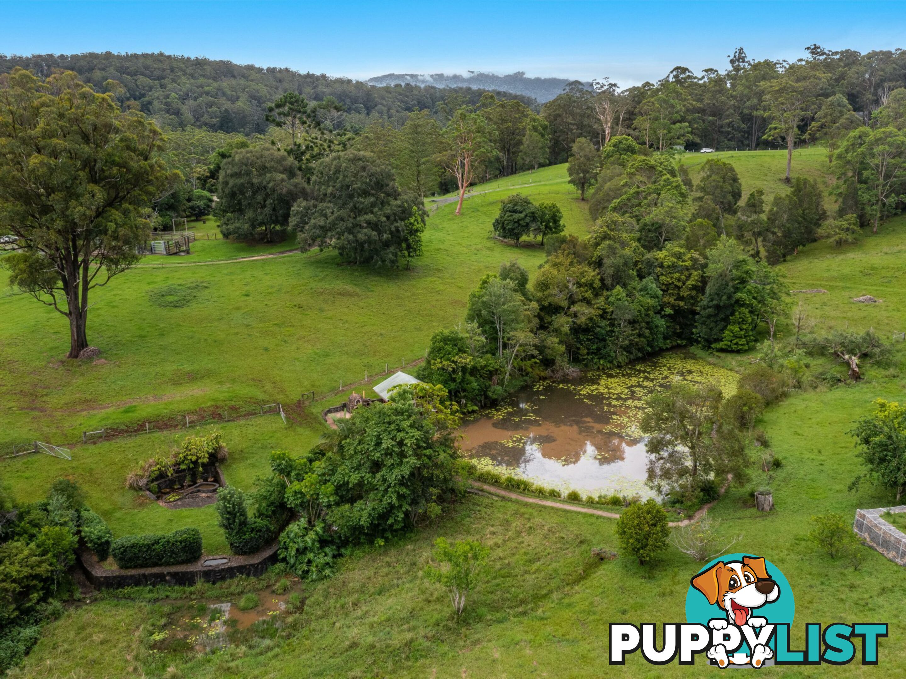 4358 Kyogle Road WADEVILLE NSW 2474