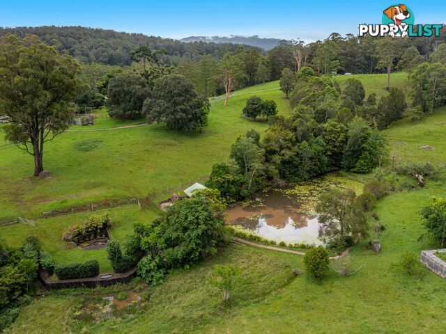 4358 Kyogle Road WADEVILLE NSW 2474