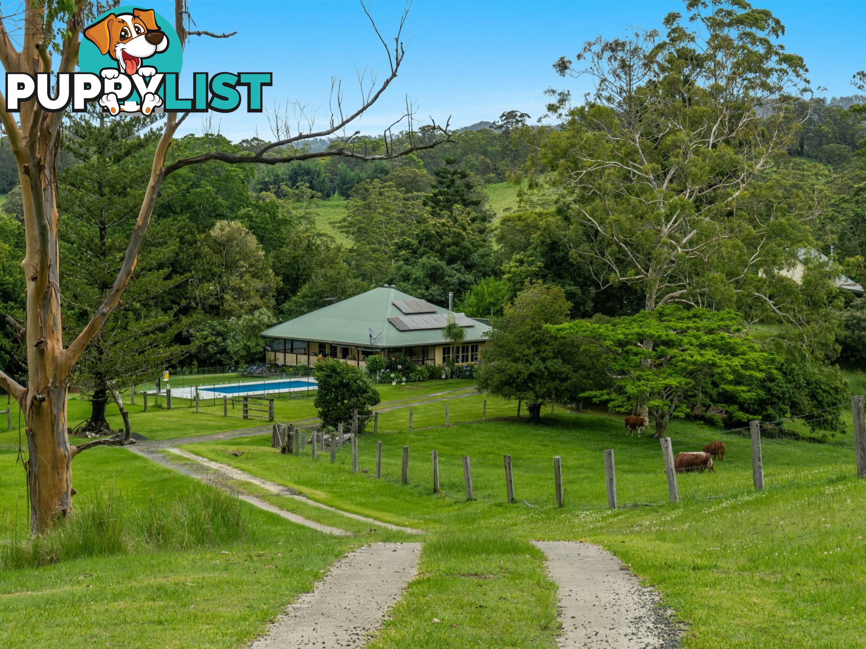 4358 Kyogle Road WADEVILLE NSW 2474