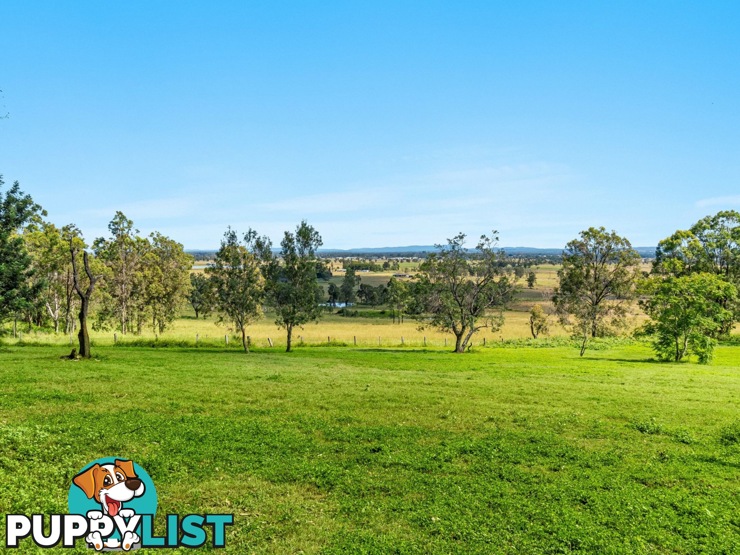 65 Gregors Road SPRING GROVE NSW 2470