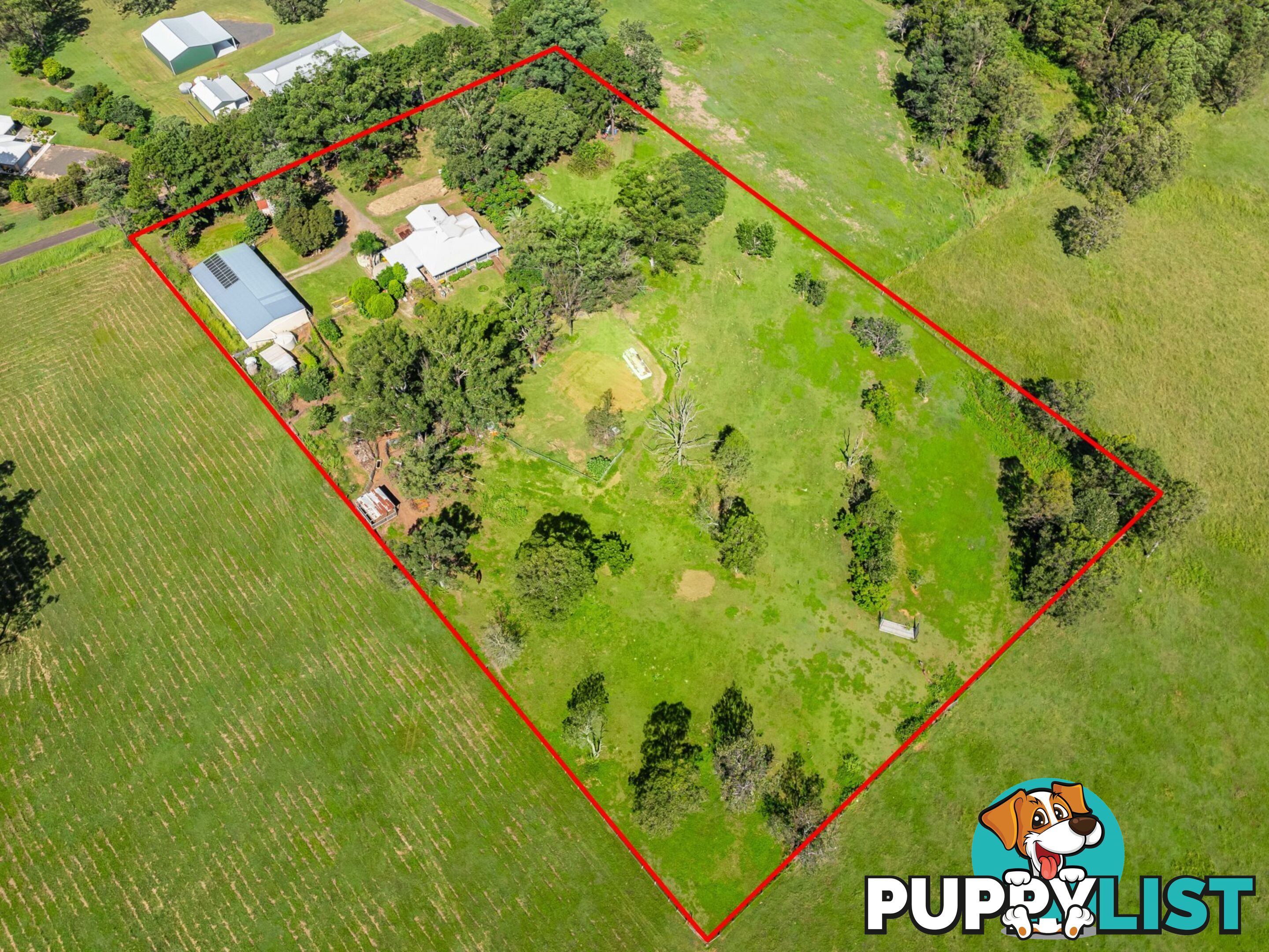 65 Gregors Road SPRING GROVE NSW 2470