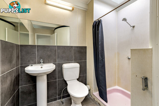 3 34 Mimosa Street Holloways Beach QLD 4878