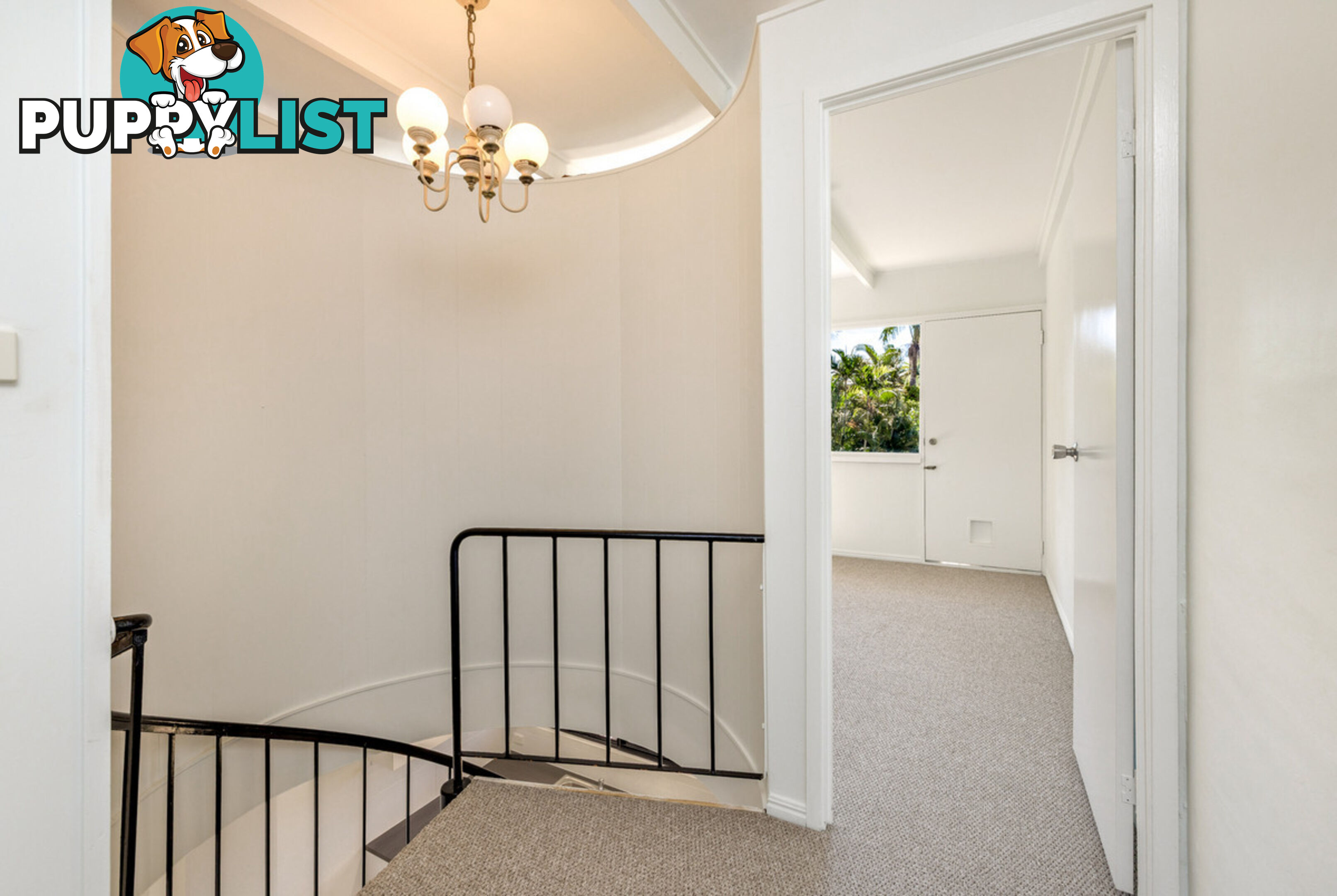 3 34 Mimosa Street Holloways Beach QLD 4878