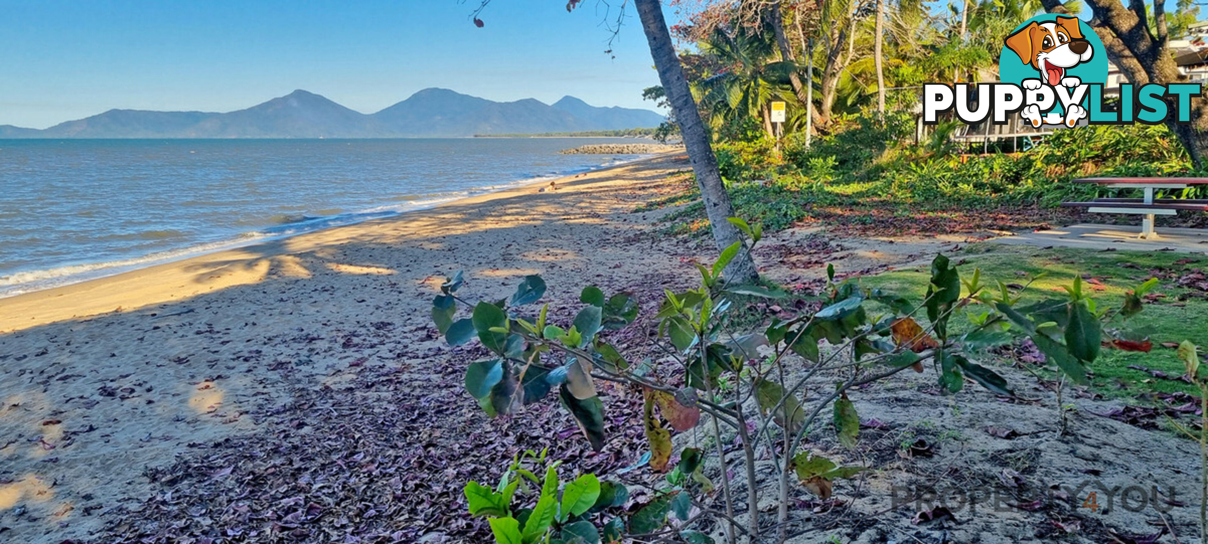 3 34 Mimosa Street Holloways Beach QLD 4878