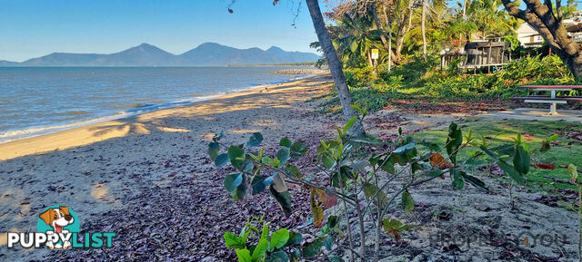 3 34 Mimosa Street Holloways Beach QLD 4878