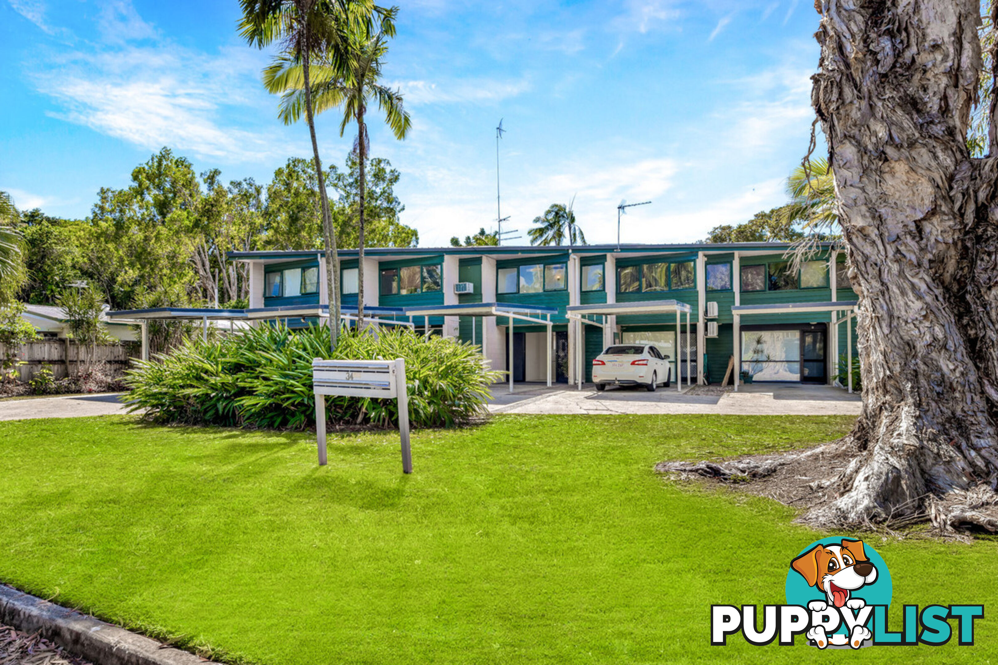 3 34 Mimosa Street Holloways Beach QLD 4878