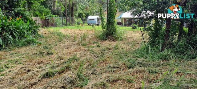 9 Hartley Street Wangetti QLD 4877